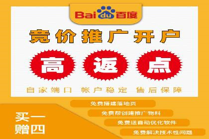 SEO与百度推广结合的营销策略——经典案例解析