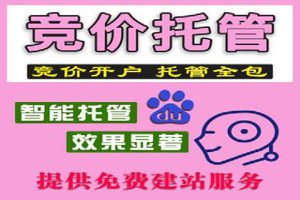 SEM网络推广案例解析：效果翻倍秘籍